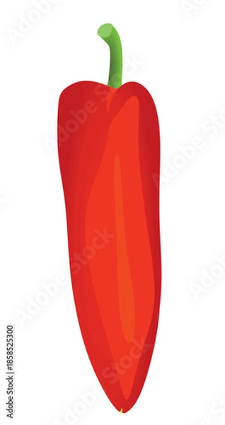 Obraz Red pepper on white background, vector