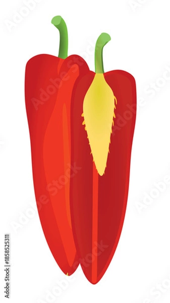 Obraz Red pepper on white background, vector