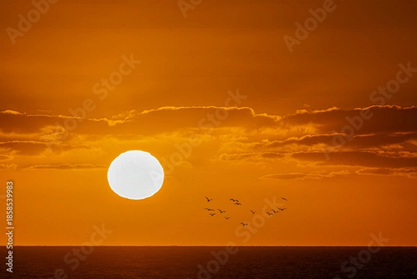 Obraz sunset over the sea