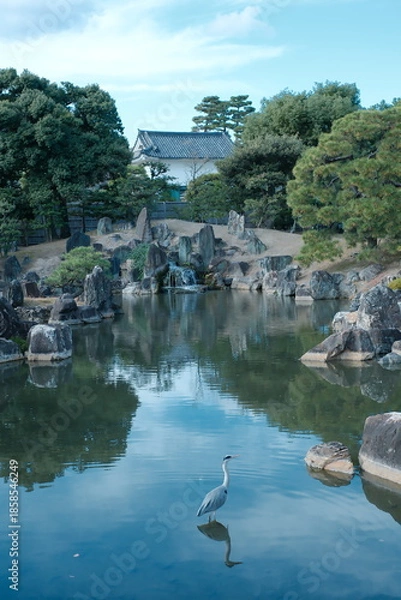 Obraz 静かな池と優雅なサギ