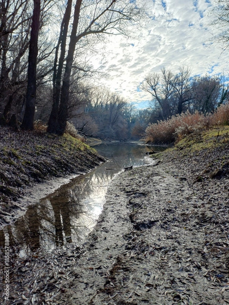 Obraz Winter creek mud reflection light