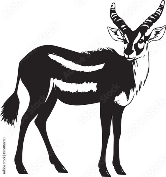 Obraz Bongo Antelope Silhouette on Transparent Background