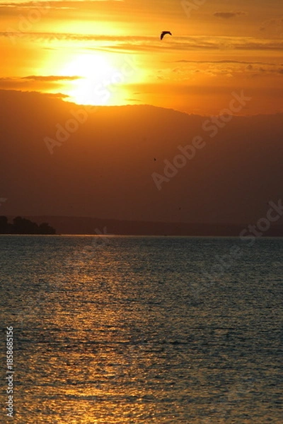 Obraz sunset over the sea