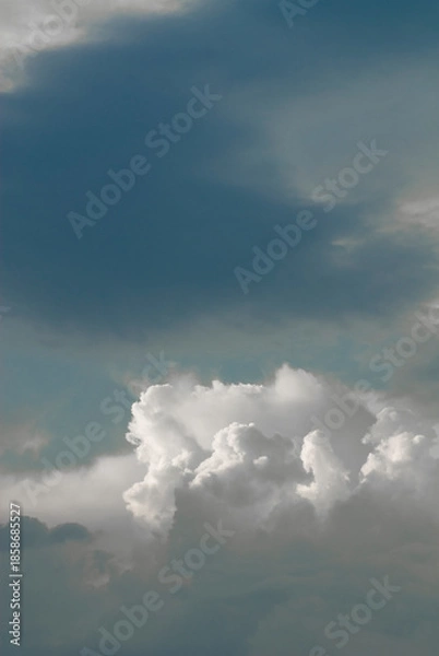 Obraz clouds in the sky