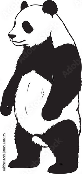 Fototapeta Panda Bear Silhouette