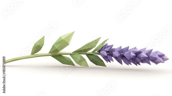 Obraz Low poly lavender illustration