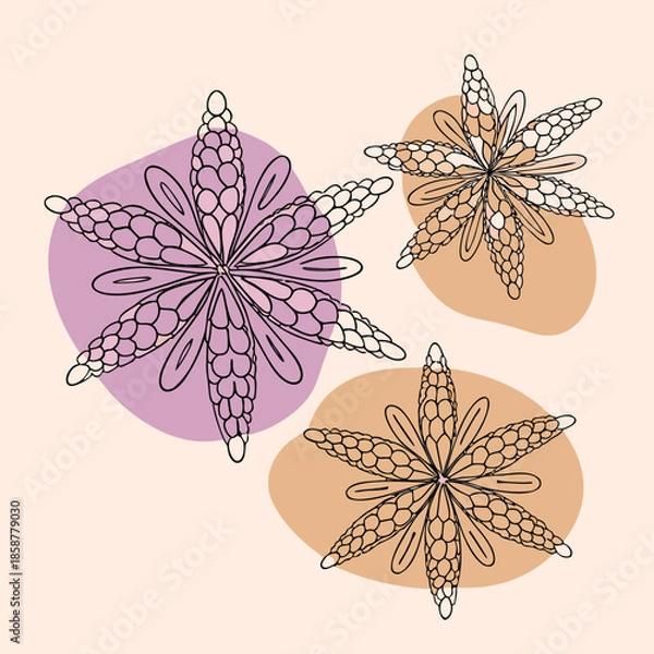 Obraz set of vector flowers