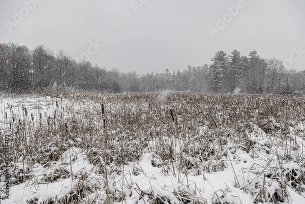 Obraz During snowfall in Canada Quebec