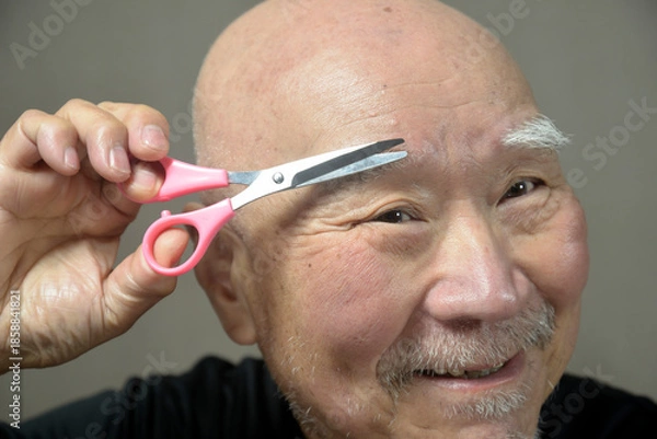 Obraz 老人の眉毛カット