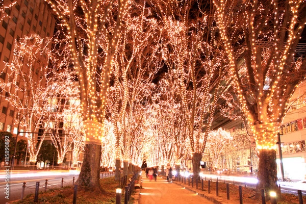 Fototapeta 仙台　光のページェント