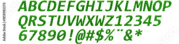 Obraz Fonte De Grama