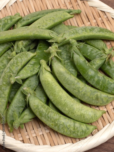 Obraz 霜降りスナップエンドウ