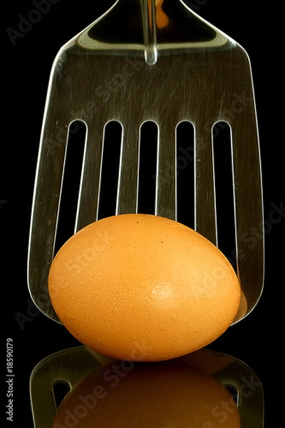 Obraz Egg
