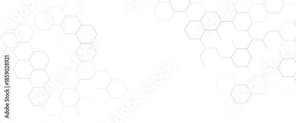 Obraz Vector modern tech minimal style tech hexagonal for background