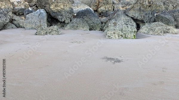 Obraz beach in winter