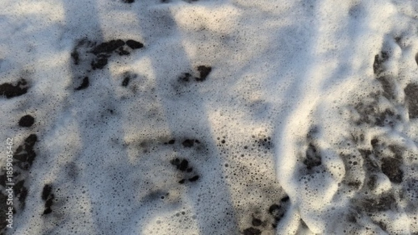 Obraz abstract background with snow