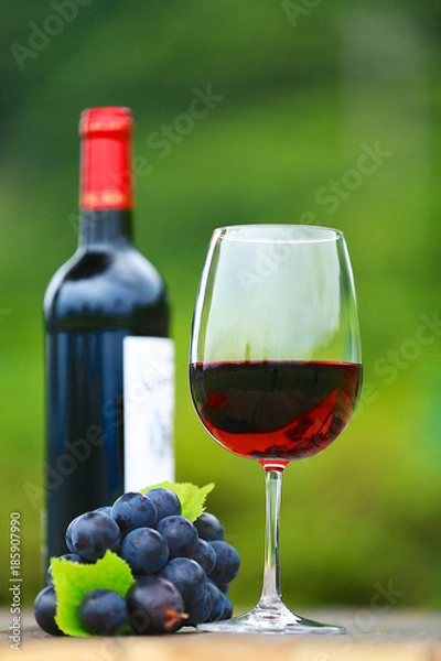 Fototapeta Single Red Wine in Bordeaux-shaped glass with bottle and fresh grapes on wooden table, defocused green outdoors background 1