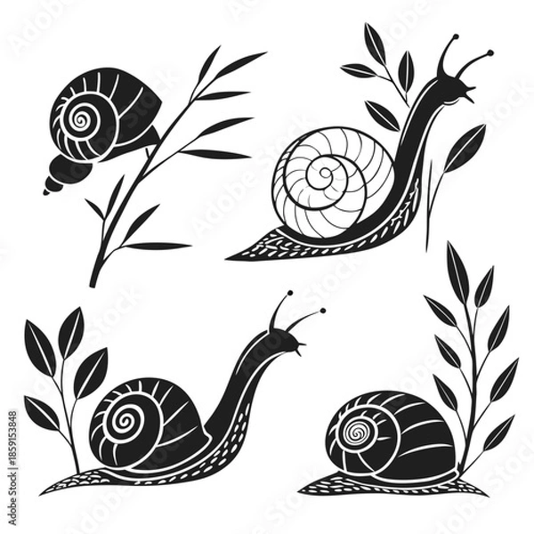 Obraz Black and white snail illustrations