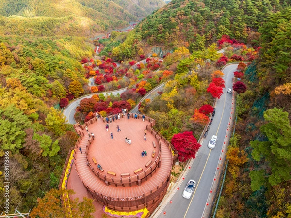 Obraz 충북 단양군 보발재 전망대의 가을풍경