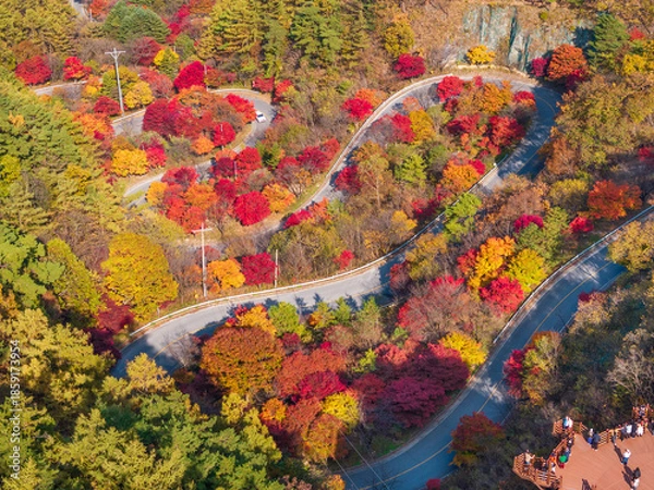 Obraz 충북 단양군 보발재 전망대의 가을풍경