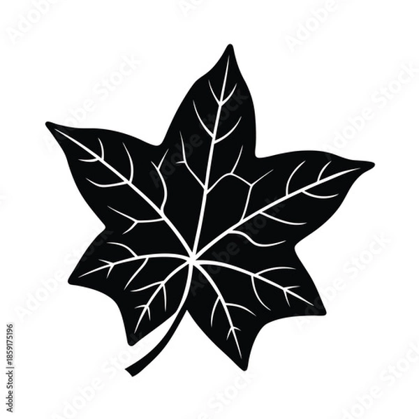 Obraz ivy leaf outline illustration