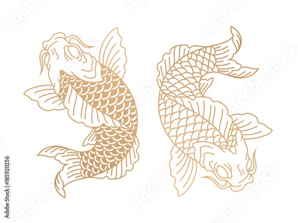 Obraz Ryba koi. Japoński karp. Ilustracji wektorowych