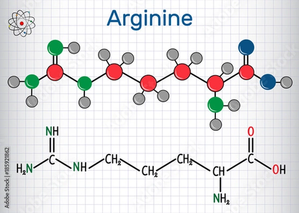 Fototapeta Arginine (Arg, R) amino acid molecule, it is used in the biosynthesis of proteins . Structural chemical formula and molecule model. Sheet of paper in a cage