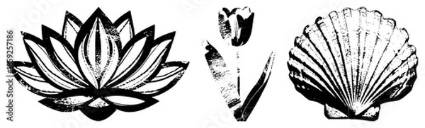 Obraz lotus flower tulip vector