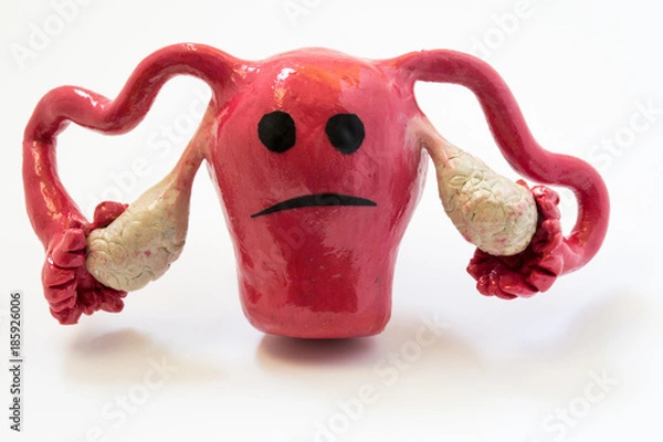 Fototapeta Concept photo of unhappy, sad uterus and ovaries with sickness or disorder. Figure of uterus with sad smile.
