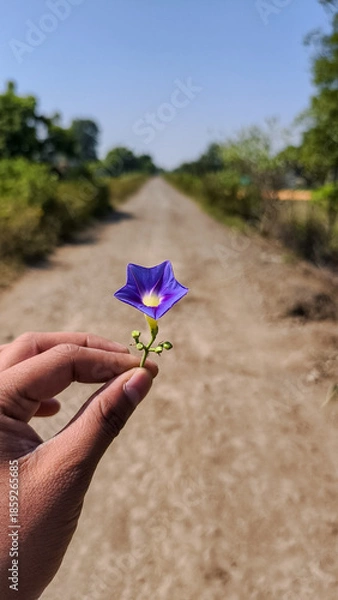 Obraz Flower in hand 