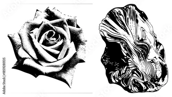 Obraz rose and abstract rock halftone illustration