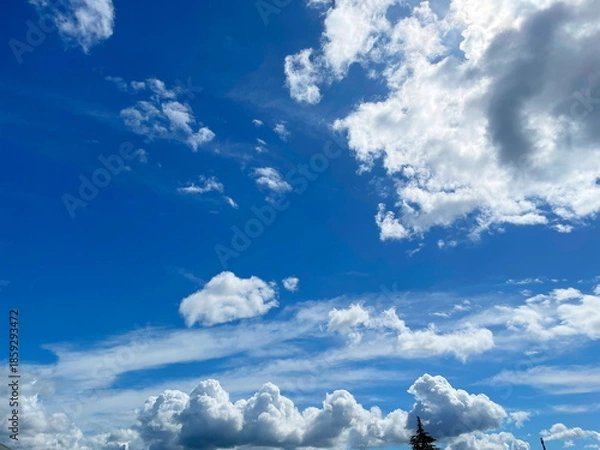 Fototapeta 青空に広がる厚い雲
