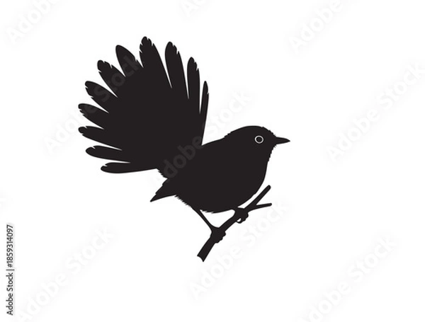 Fototapeta Fantail silhouette image white background.