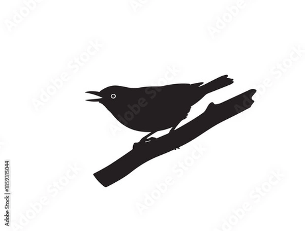 Fototapeta Nuthatch silhouette image white background.