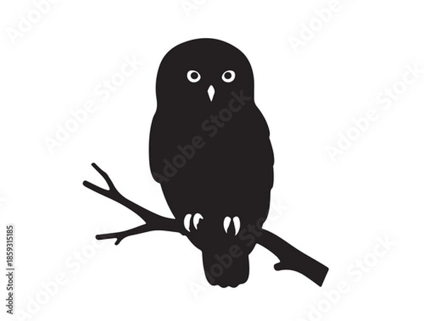Fototapeta Pygmy Owl silhouette image white background.
