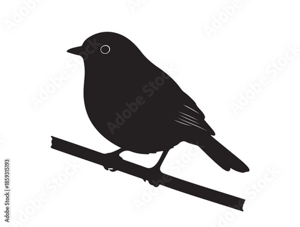 Fototapeta  Robin in silhouette white background.