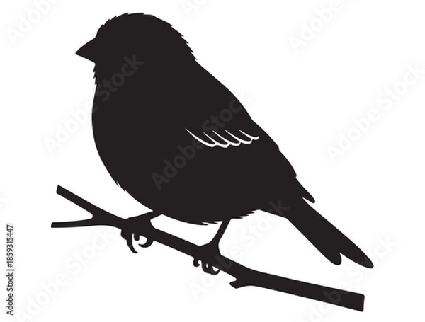 Fototapeta  Sparrow vector image in silhouette.