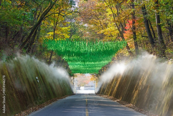 Obraz 충북 단양군 이끼터널의 가을 풍경