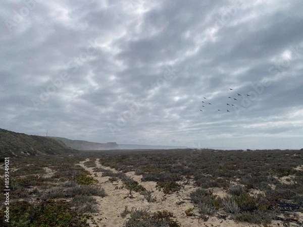 Fototapeta clouds over the mountains
