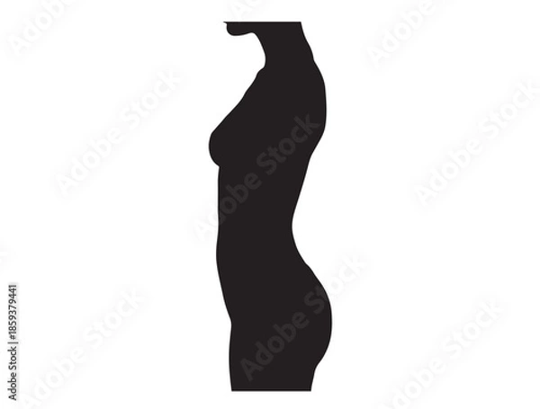 Fototapeta Classic Torso Proportion in silhouette white background.