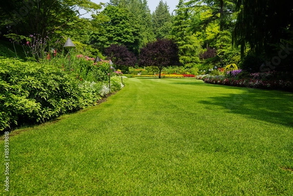 Fototapeta Beautiful trees and green grass  in  garden.