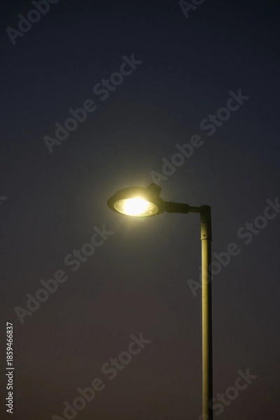 Obraz マジックアワーに浮かび上がる街灯