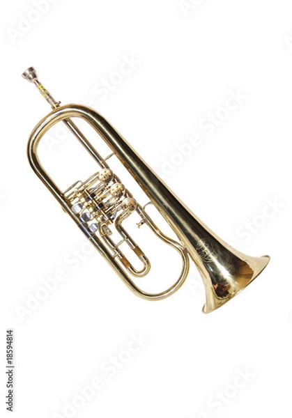 Obraz Flugelhorn