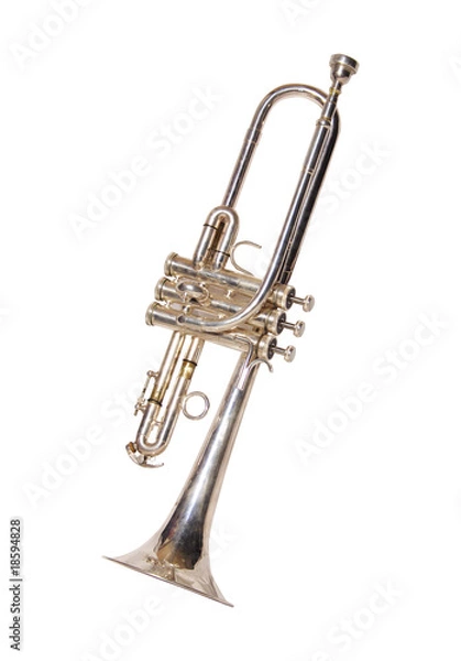 Obraz Trompete