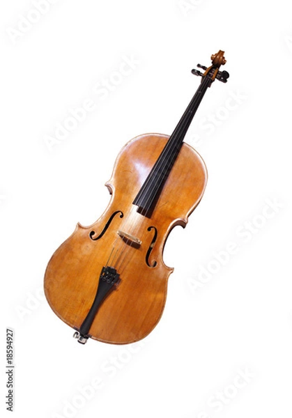 Obraz Violoncello