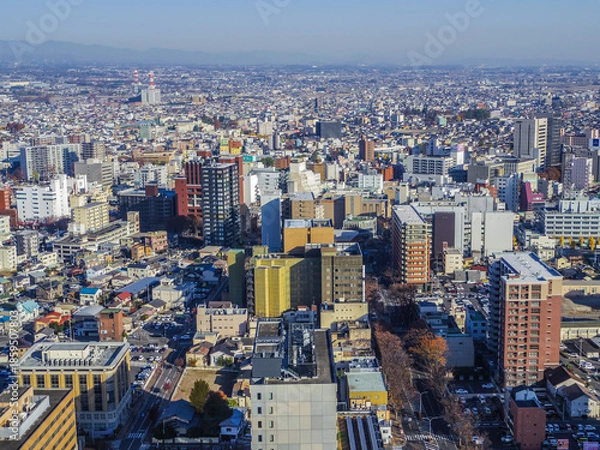 Fototapeta 【群馬県】前橋市・群馬県庁からの風景