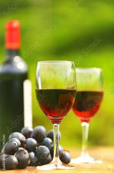 Fototapeta Two glasses Red Wine with wine bottle and fresh grapes on wooden table, defocused green outdoors background 3