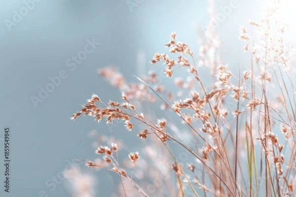 Fototapeta Fresh Spring Greenery with Warm Light Effect