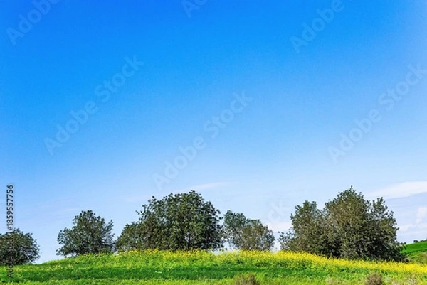 Obraz Even rows of kibbutz planting of crops.