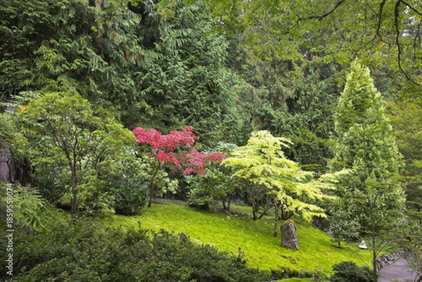 Obraz Blossoming trees